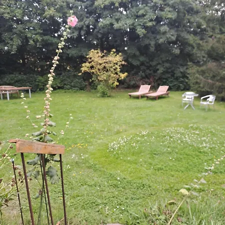 Lovely Near